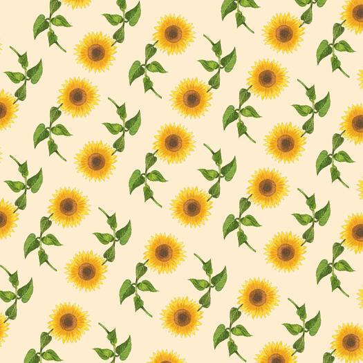 Helianthus pattern