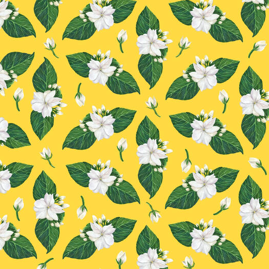 Jasminum multiflorum pattern